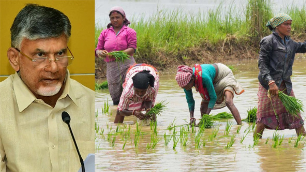 Annadata Sukhibhava: రైతులకు శుభవార్త! మీ అకౌంట్ లో డబ్బులు పడ్డాయ్.. వెంటనే చెక్ చేసుకోండి!