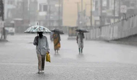 Andhra Pradesh Rain Alert: ఏపీలో వరుణుడి అలజడి... రాగల 48 గంటలు భారీ వర్షాల హెచ్చరిక!