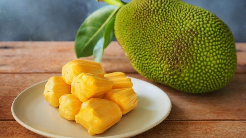 Jackfruit Benefits: వేసవిలో పనస తొనలు తింటే ఈ ఆరోగ్య సమస్యలన్నీ దూరం!