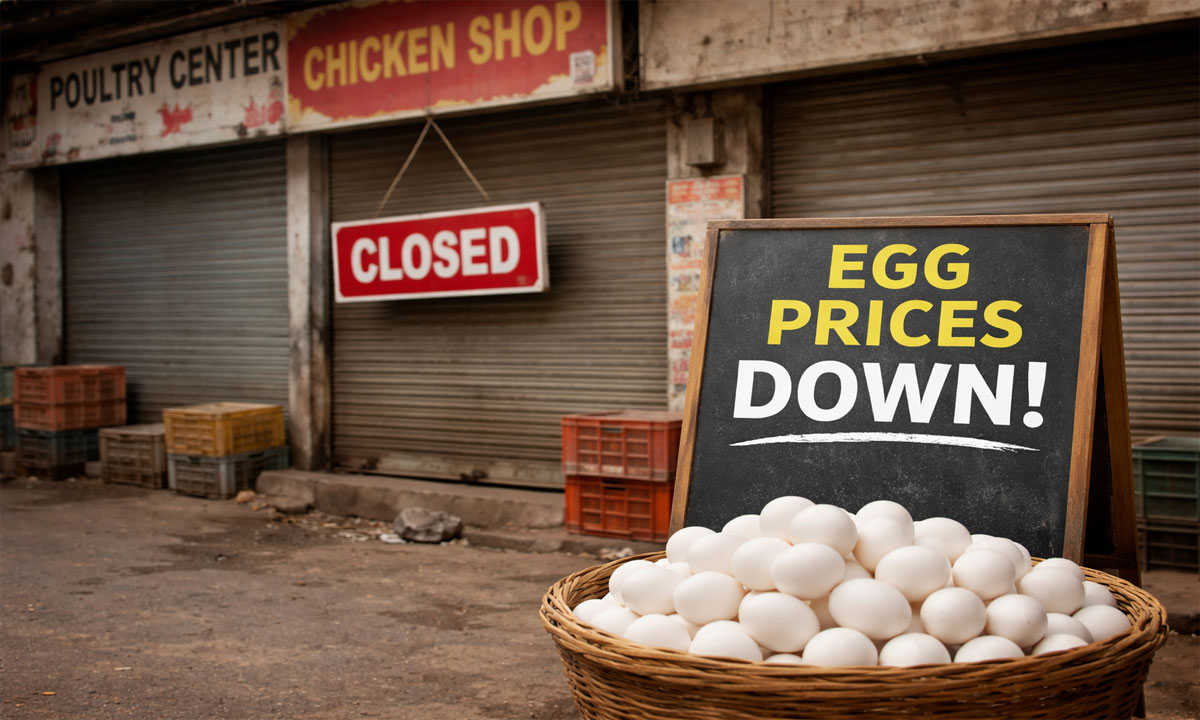 Chicken Shops: ఏప్రిల్ 1 నుండి చికెన్ షాపులు బంద్! కారణం ఏంటంటే...