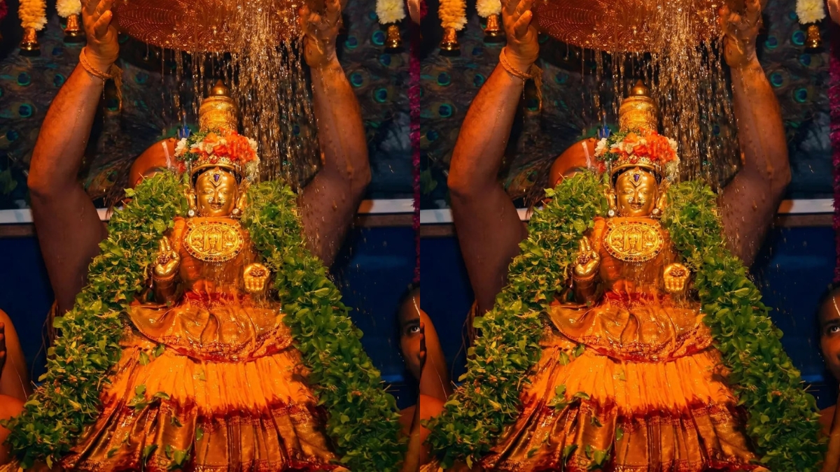 Tirumala Latest Updates: తిరుమలలో భక్తుల రద్దీ... సర్వదర్శనానికి 12 గంటల సమయం!