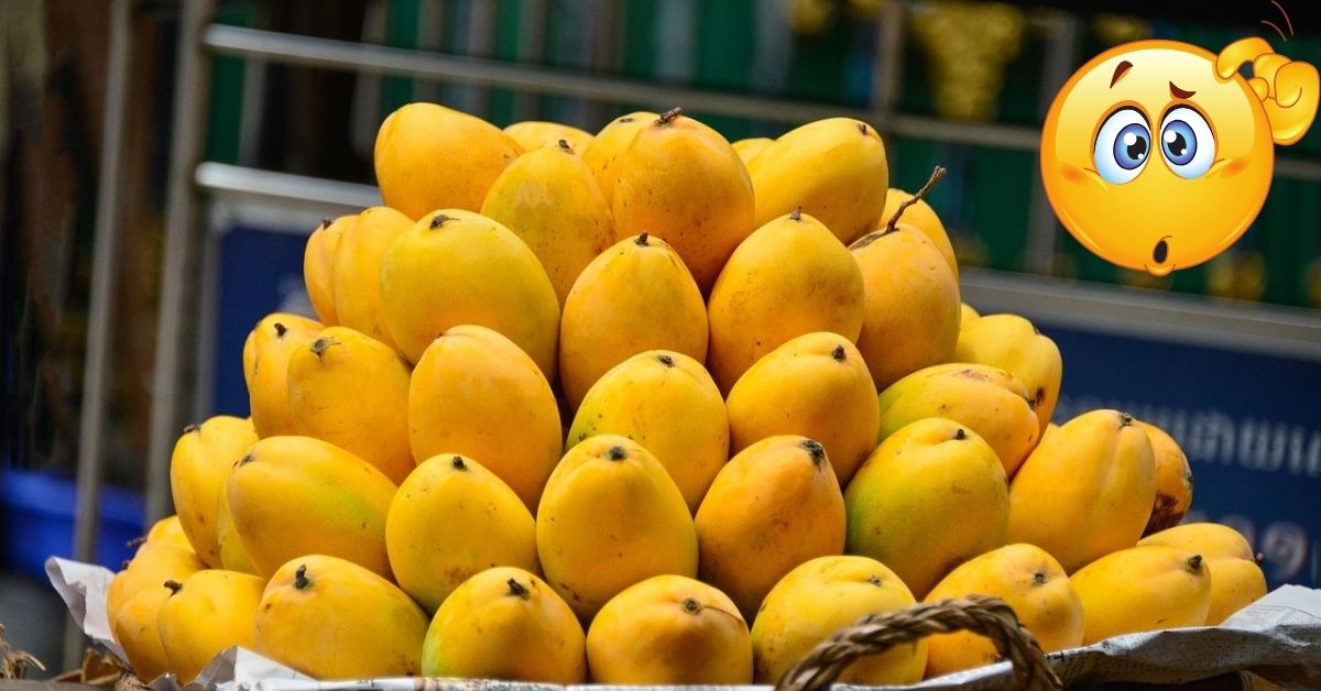 Mangoes: రంగును చూసి మోసపోవద్దు.. ఆ మామిడి పండ్లతో ప్రాణాపాయం! పోలీస్ కమిషనర్ ప్రత్యేక చిట్కాలు..