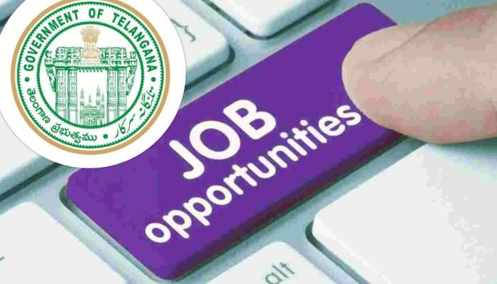 Education News: నిరుద్యోగులకు గుడ్ న్యూస్.. ప్రభుత్వ పాఠశాలల్లో 6,000 ఉద్యోగాల భర్తీకి గ్రీన్ సిగ్నల్..!