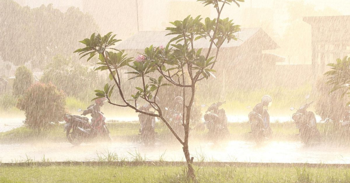 AP Full Rains: మరో రెండు రోజులు వర్ష గండం.. వాతావరణ శాఖ హెచ్చరికలతో ఆ జిల్లాలో టెన్షన్.!