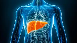 Fatty Liver: చిన్నారుల్లో పెరుగుతున్న ఫ్యాటీ లివర్‌ సమస్య! అసలు కారణం ఇదేనా?