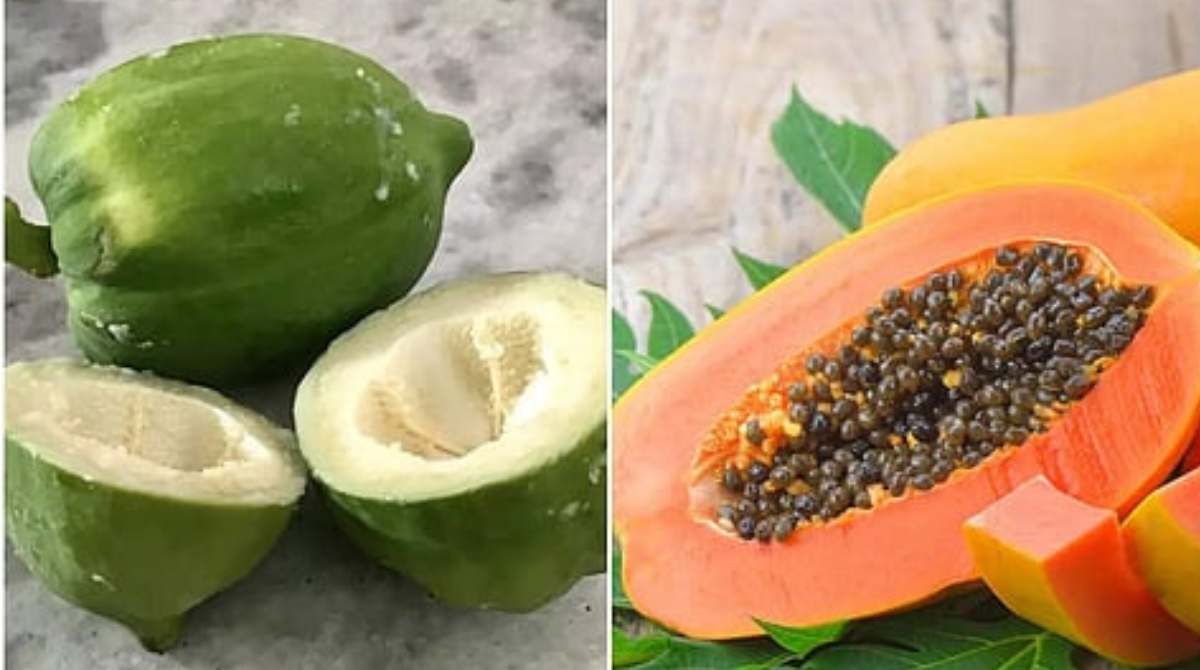 Papaya Benefits: పచ్చి పప్పాయి vs పండు పప్పాయి: షుగర్ పేషెంట్లకు ఏది 'సూపర్ ఫుడ్'?