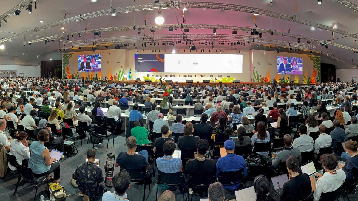 COP 33: భారత్ సంచలన నిర్ణయం... 2028 'కాప్ 33' సదస్సు హోస్టింగ్ నుంచి విరమణ!