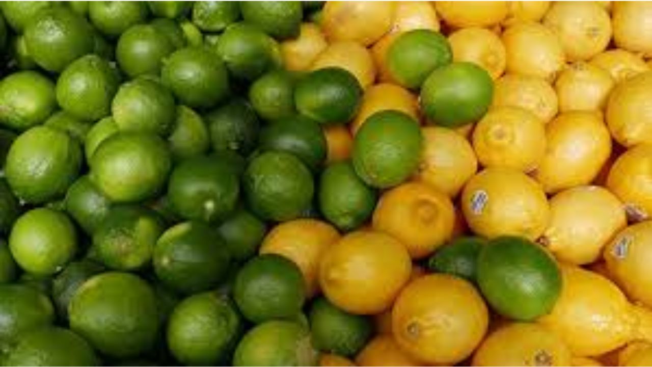 Lime Facts: పసుపు నిమ్మకాయ గొప్పదా? ఆకుపచ్చ నిమ్మకాయ గొప్పదా? షాకింగ్ నిజాలు...