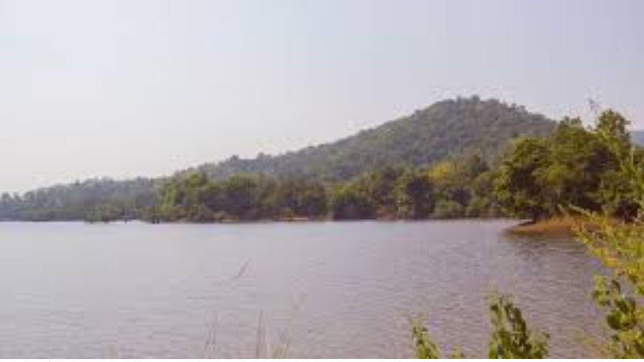 Postal Service: పోస్టల్ శాఖ ఘోర నిర్లక్ష్యం.. చెరువులో గుట్టలుగా ఆధార్, ఓటర్ కార్డులు!