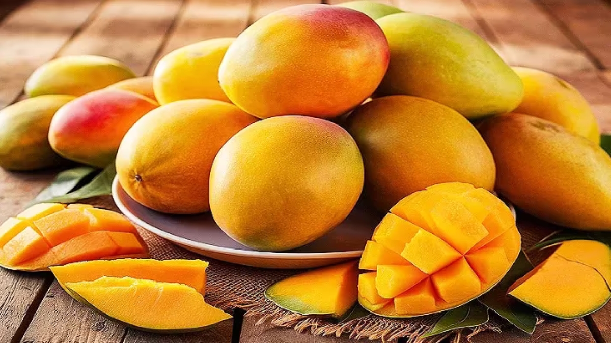 Mango Health Benefits: ఆరోగ్యానికి 'కల్పవృక్షం'.. మామిడి చెట్టులోని ప్రతి భాగం ఒక అద్భుత ఔషధమని మీకు తెలుసా?