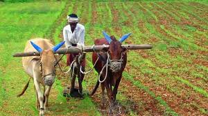 Farmers: రైతులకు శుభవార్త... భారీ సబ్సిడీతో వ్యవసాయ యంత్రాల పంపిణీ! పూర్తి వివరాలు...