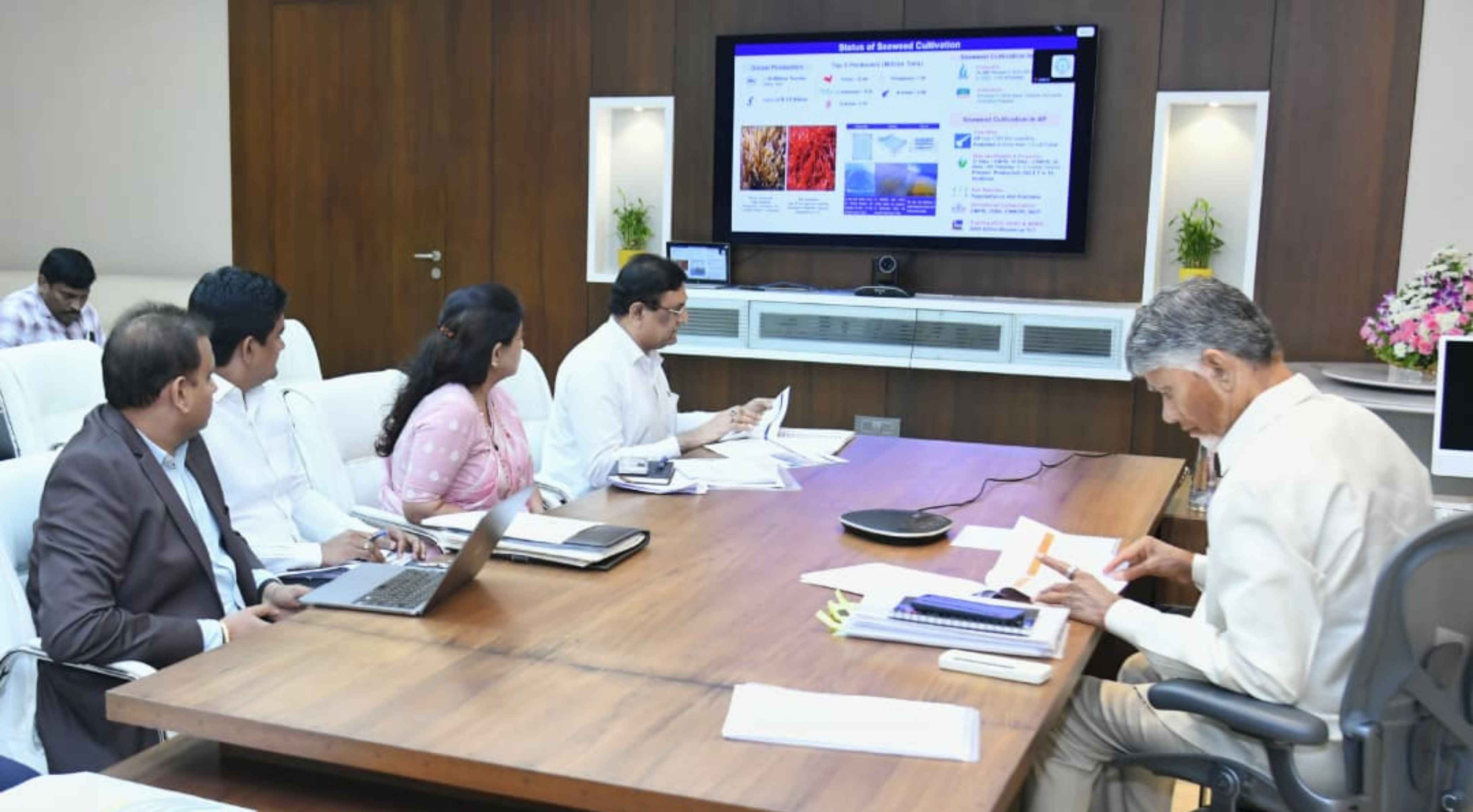 Chandrababu: రైతులకు లాభదాయక ధరలు లక్ష్యం.. పంటల కొనుగోళ్లపై సీఎం చంద్రబాబు సమీక్ష!