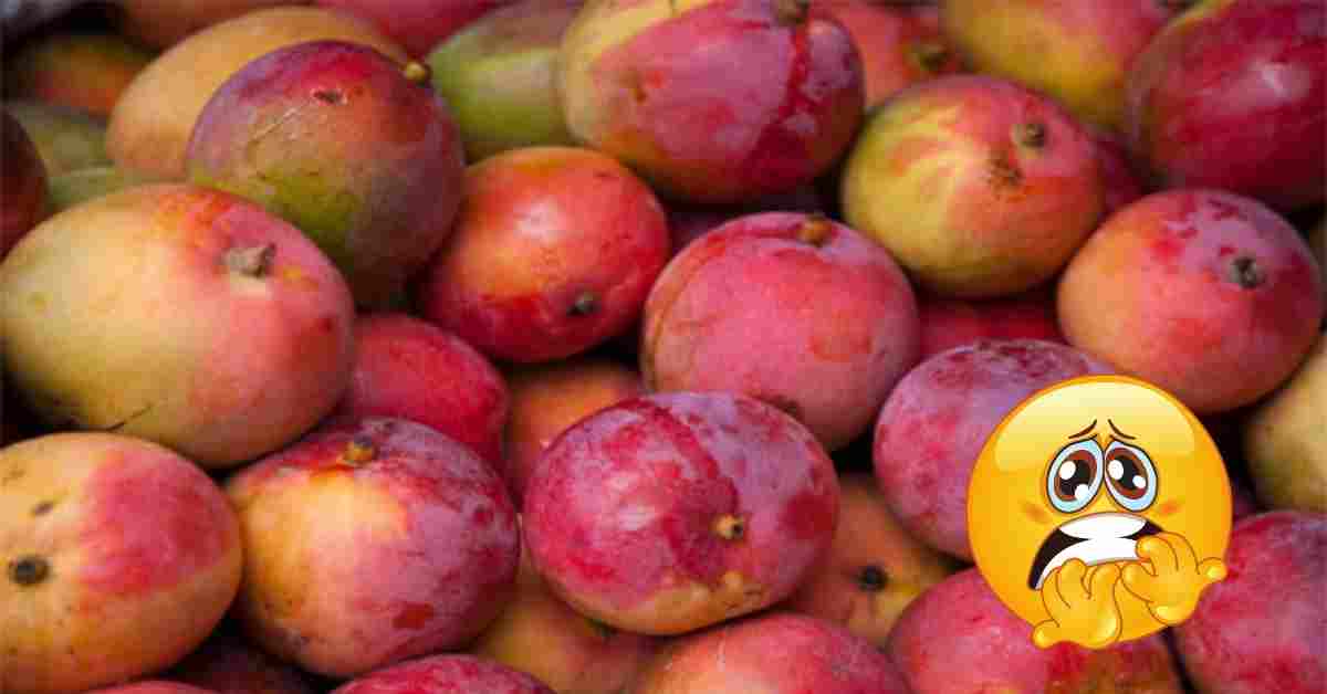 Mango: డయాబెటిస్ ఉన్నవారు మామిడి పండును ఎలా తినాలో తెలుసా? అపోహలు వీడి నిజాలు తెలుసుకోండి!