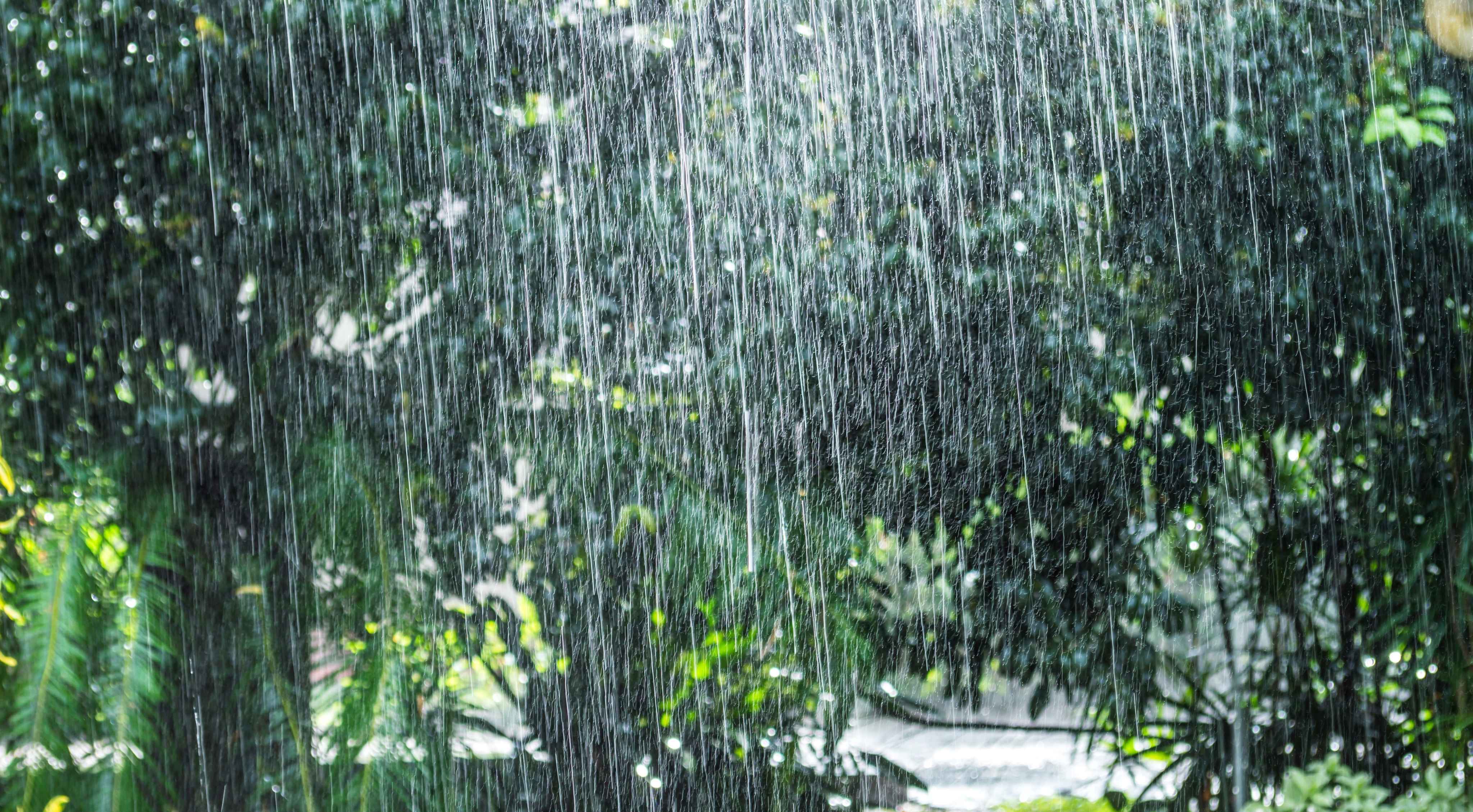 Weather: కోస్తాంధ్ర, రాయలసీమలో పిడుగులతో కూడిన భారీ వర్షాల సూచన.. ప్రజలకు హెచ్చరికలు జారీ!