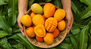 MangoCity Of India: మ్యాంగో సిటీ ఆఫ్ ఇండియా... ఇక్కడ పండే మామిడి రుచే వేరబ్బ!!