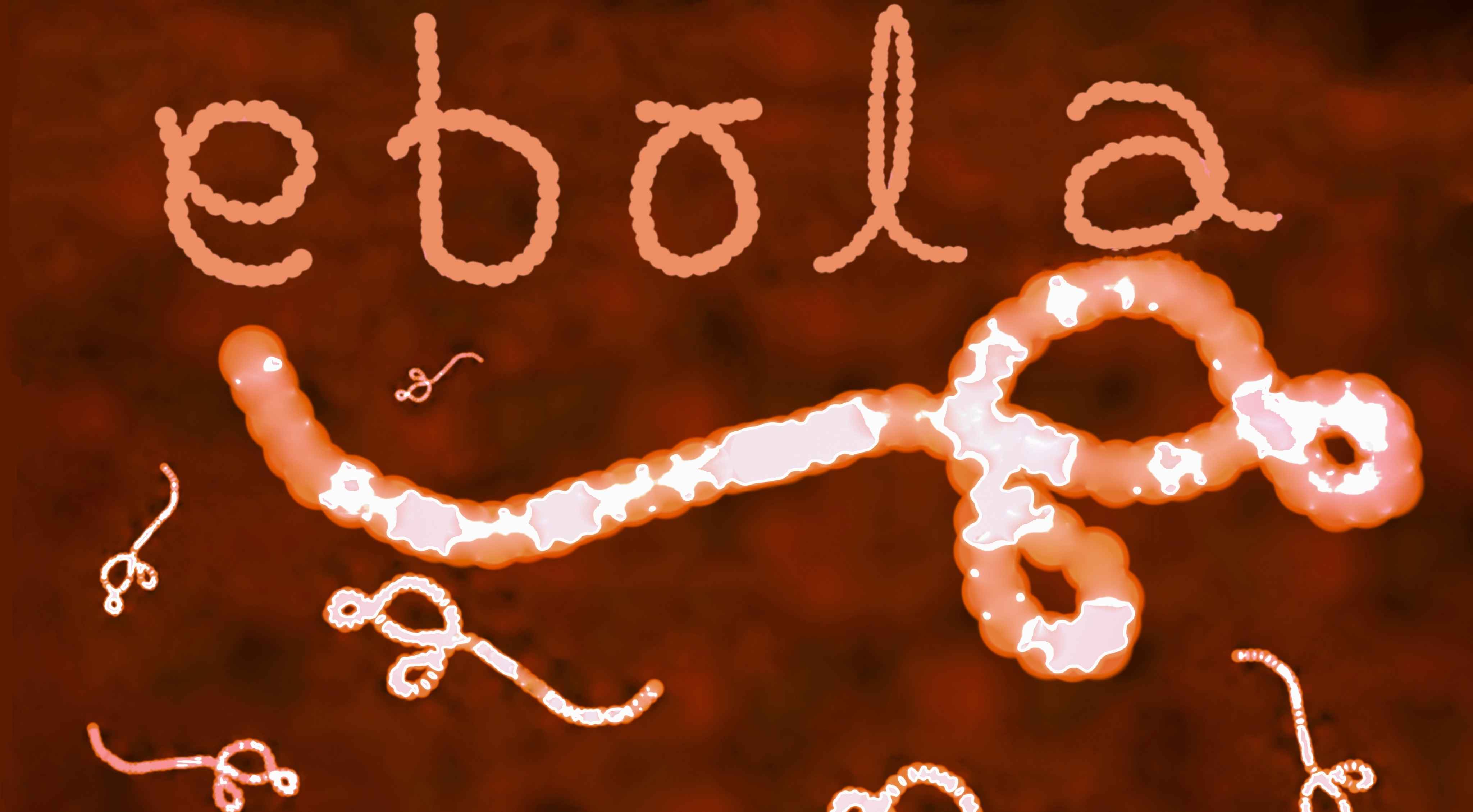 Ebola: కాంగో, ఉగాండాలో ఎబోలా విజృంభణ.. అప్రమత్తమైన ప్రపంచ ఆరోగ్య సంస్థ!