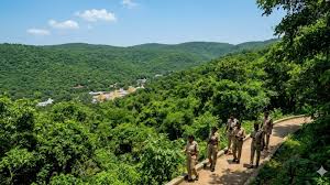 Seshachalam Forest: పర్యావరణ రక్షణలో టీటీడీ అటవీ శాఖ భేష్.. రికార్డు స్థాయికి చేరిన పచ్చదనం!