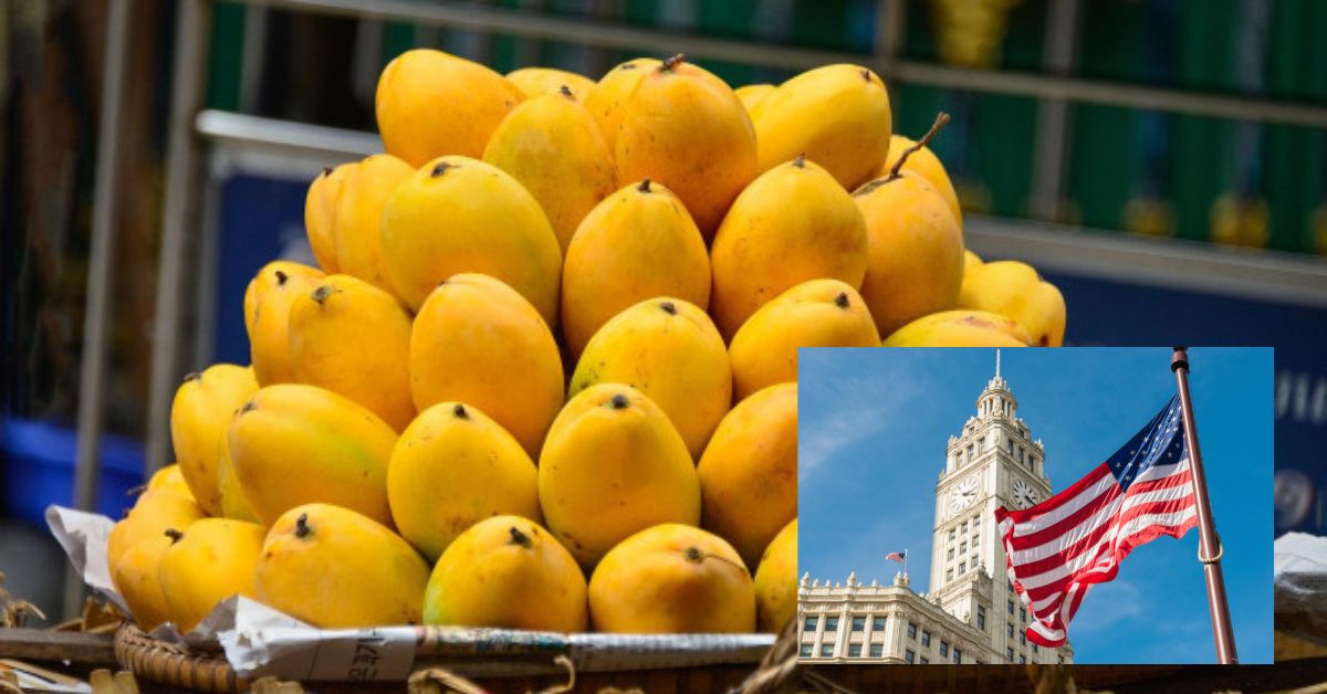 India-US trade: అమెరికాలో మన మామిడిపండ్లకు భలే క్రేజ్... ధర ఎంతైనా తగ్గేదే లే! సూపర్ మార్కెట్లలో గంటల్లోనే..