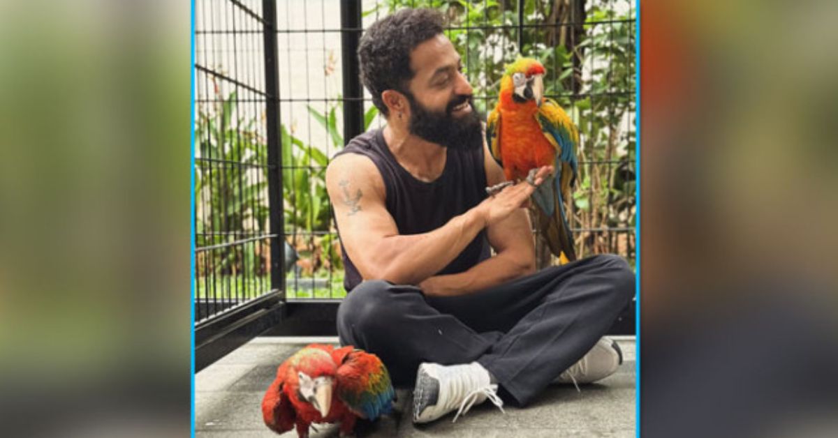 Jr NTR: తారక్ ఇంట్లోకి కొత్త అతిథులు.. 'అసాహి', 'యూహీ'ల వెనుక ఉన్న అసలు రహస్యం ఇదే!