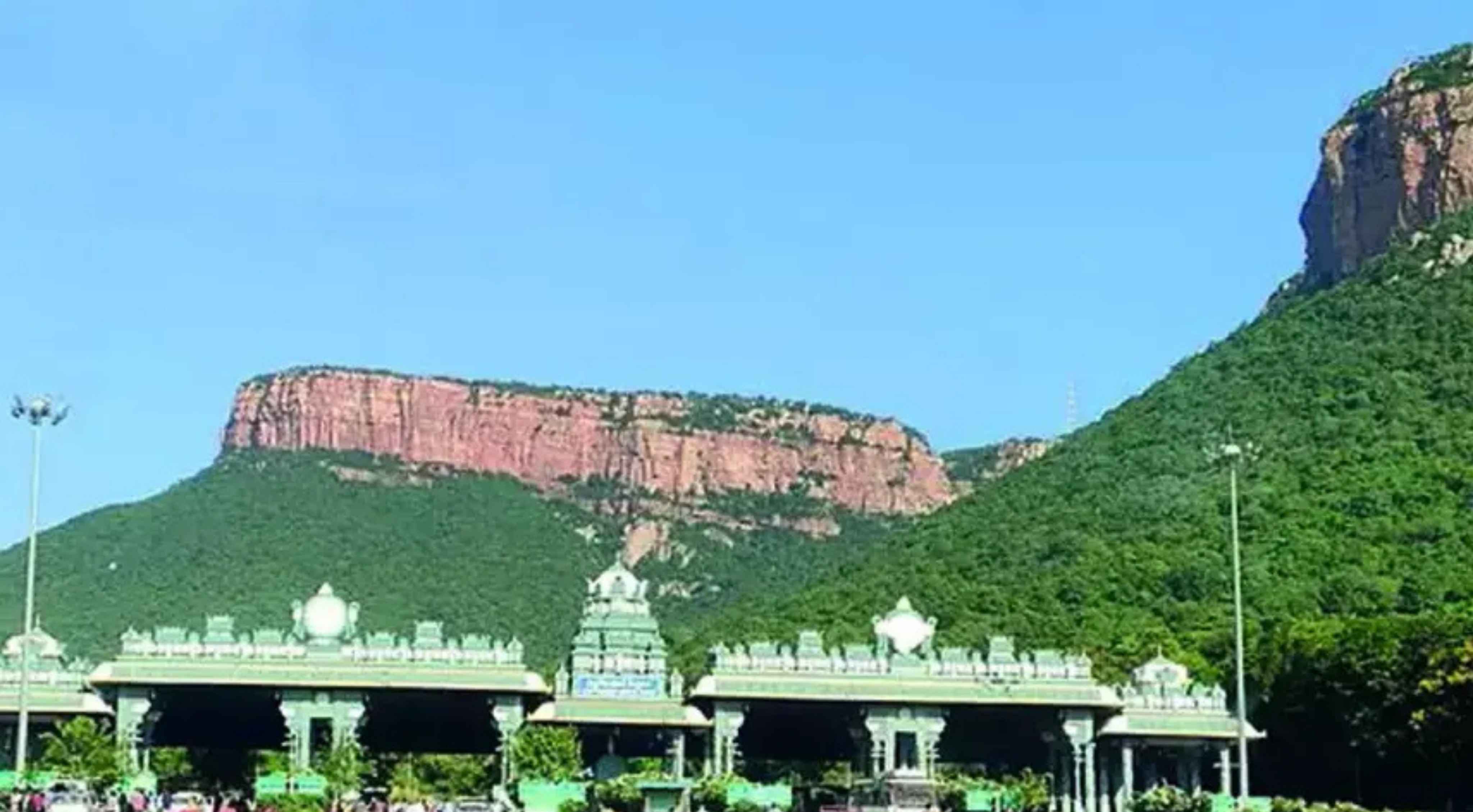Tirumala: తిరుమలలో కొనసాగుతున్న భక్తుల భారీ రద్దీ.. 24 గంటల నిరీక్షణ!
