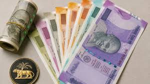 RBI: కాగితపు నోట్లకు గుడ్‌బై.. త్వరలో మార్కెట్లోకి ఆర్‌బీఐ ప్లాస్టిక్ నోట్లు!