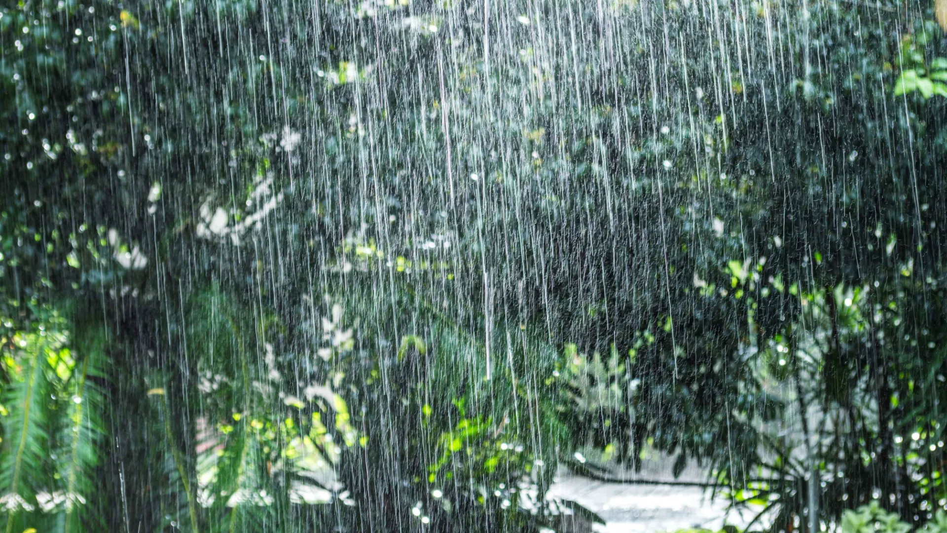 Rains: రాయలసీమలోకి నైరుతి రుతుపవనాల ప్రవేశం.. వర్షాలు-వడగాల్పులపై ఏపీఎస్‌డీఎంఏ హెచ్చరిక!