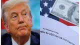 H1B Visa: వీసా బాదుడుకు యూఎస్ కోర్టు బ్రేక్... వెనక్కి తగ్గని ట్రంప్!