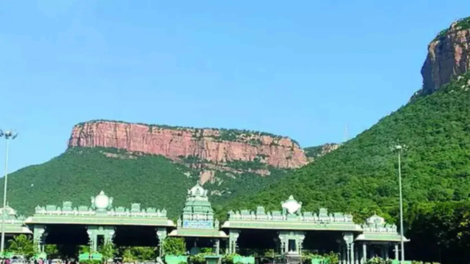 Tirumala: తిరుమలలో భక్తుల రద్దీ.. సర్వదర్శనానికి 20 గంటలకు పైగా సమయం!