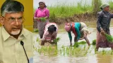 ఒకే రోజు అన్నదాత సుఖీభవ, పీఎం కిసాన్ నిధులు విడుదల