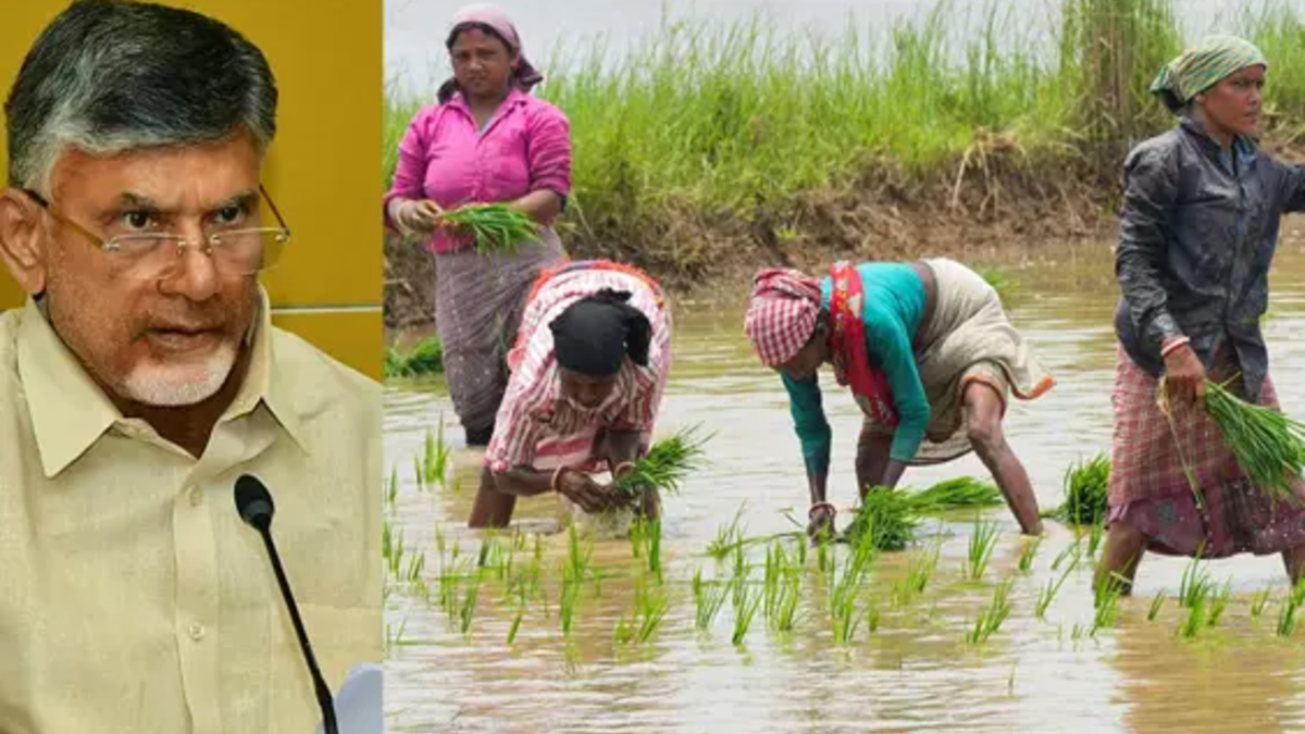 AP Farmers: రైతులకు డబుల్ ధమాకా.... ఒకే రోజు అన్నదాత సుఖీభవ, పీఎం కిసాన్ నిధులు విడుదల!