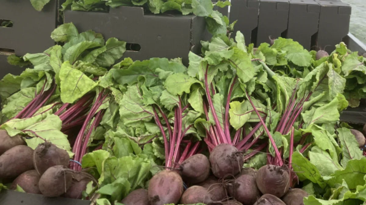 beetroot-is-good-but-some-people-should-stay-away-from-it