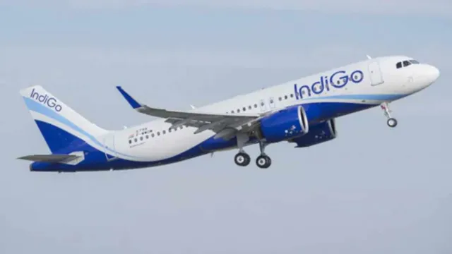 Indigo