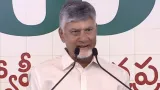 Chandrababu: రోజుకు 40 సర్జరీలు.. లక్షలాది మందికి పునర్జన్మ.. ఆ ఒక్క మాటే ఈ ఆసుపత్రికి స్ఫూర్తి.. అతిథిగా హాజరైన చంద్రబాబు!