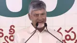Politics story photo