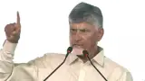 Politics story photo