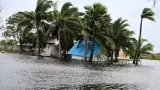 Environment story photo