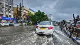 Environment story photo