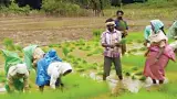 పంటల బీమా పథకం అమలుకు ఉత్తర్వులు జారీ