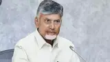 Politics story photo