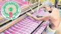 ap govt to implement nethannaku bharosa scheme on august 7thrs 25000 aid for weavers