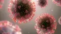 omicran rf5 variant detected in andhra pradesh covid cases samples sent for genome sequencing