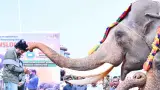 Andhra Pradesh story photo