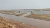 AP Great Green Wall