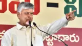 Politics story photo