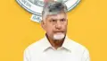 ఏపీ ఖజానా ఖాళీ.. ప్రజల ముందు నిజాలు ఉంచిన సీఎం చంద్రబాబు!
