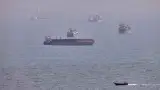 Gulf story photo