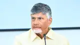 Andhra Pradesh story photo