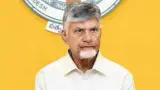 టీచర్ పోస్టుల భర్తీకి గ్రీన్ సిగ్నల్