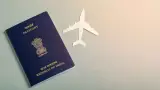 Visa Fraud