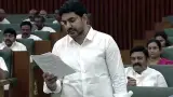 మెగా డీఎస్సీతో పాటు ఏటా నియామకాలు